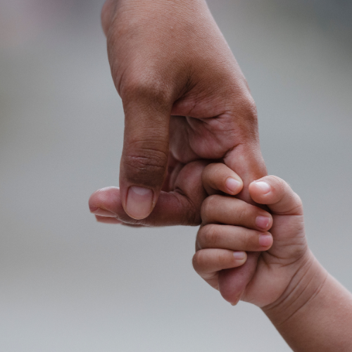 Legacy Planners protects loved ones